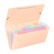 3135251131153-Viquel Rainbow Pastel - Trieur à soufflet - format chèque - disponible en différents coloris--1
