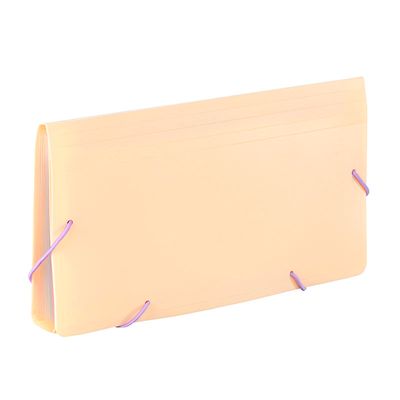 3135251131153-Viquel Rainbow Pastel - Trieur à soufflet - format chèque - disponible en différents coloris--3